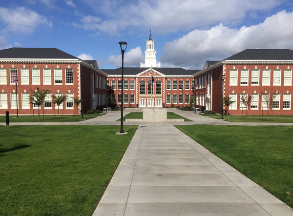 PT 303 Sun Mix Pro Time Lawn Seed