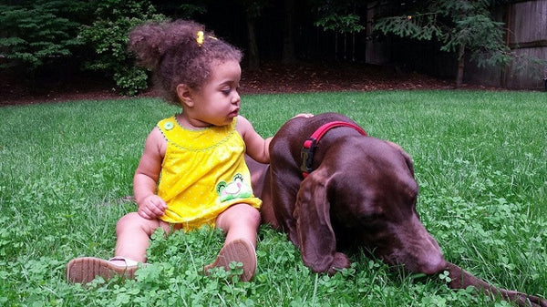 PT 769 R&R Eco-Turf Mix with Microclover® ProTime Lawn Seed