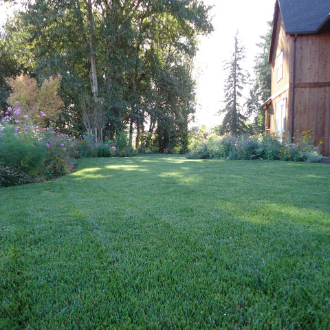 PT 301 Water Smarter Tall Fescue Blend Pro Time Lawn Seed