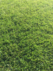 PT 301 Water Smarter Tall Fescue Blend Pro Time Lawn Seed