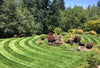 PT 303 Sun Mix Pro Time Lawn Seed