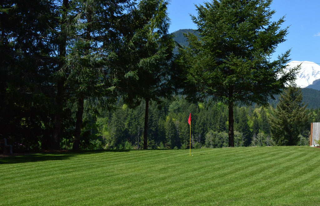 PT 309 Supreme Mix Pro Time Lawn Seed
