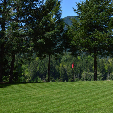 PT 309 Supreme Mix Pro Time Lawn Seed