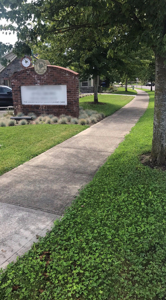 PT 770 Water Less Eco-Lawn Mix Pro Time Lawn Seed