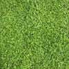 PT 799 Microclover® ProTime Lawn Seed