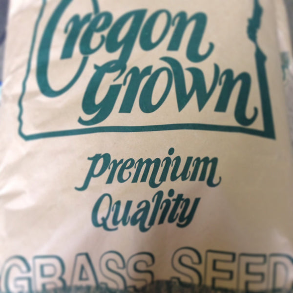 Annual Ryegrass - temporary, erosion control - Contact us for availability Pro Time Lawn Seed