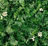 PT 706 Herb de Lawn ProTime Lawn Seed