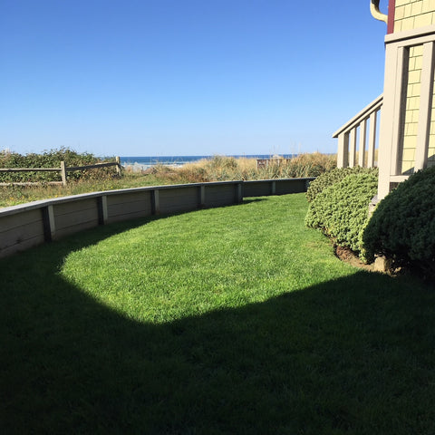 PT 305 Shade/Sun Mix Pro Time Lawn Seed