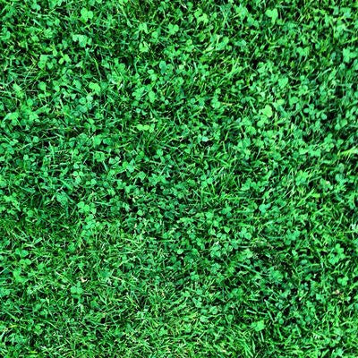 PT 769 R&R Eco-Turf Mix with Microclover® ProTime Lawn Seed